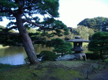 Japanese style garden with stone lantern